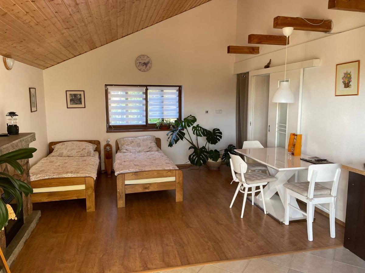 Apartman V Podhuri Jizerskych Hor Zelezny Brod Экстерьер фото